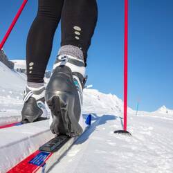 A close up view of a cross country skier