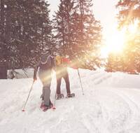 people snowshoeing in a snowy forest