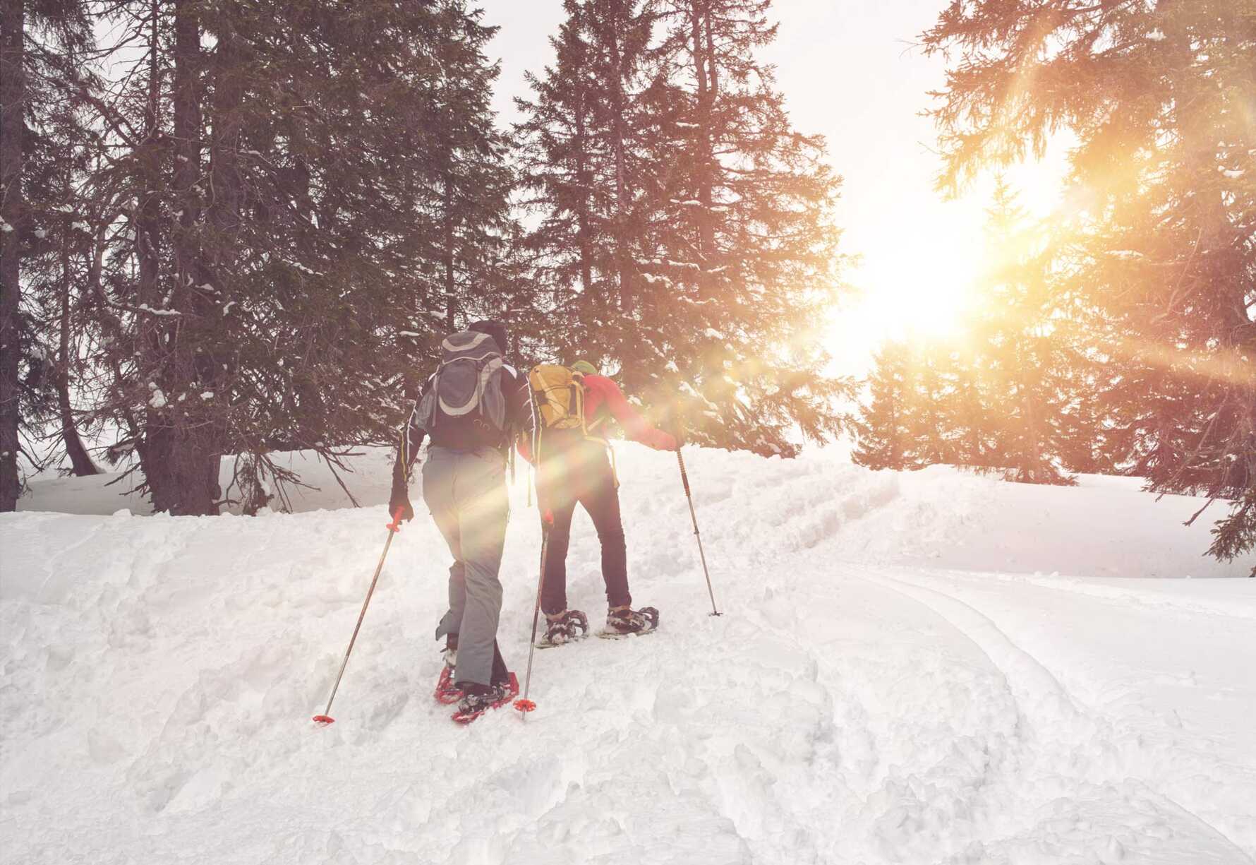 people snowshoeing in a snowy forest