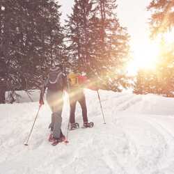 people snowshoeing in a snowy forest