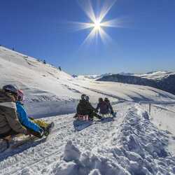 People tobogganing on snow