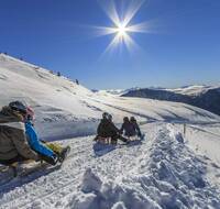 People tobogganing on snow