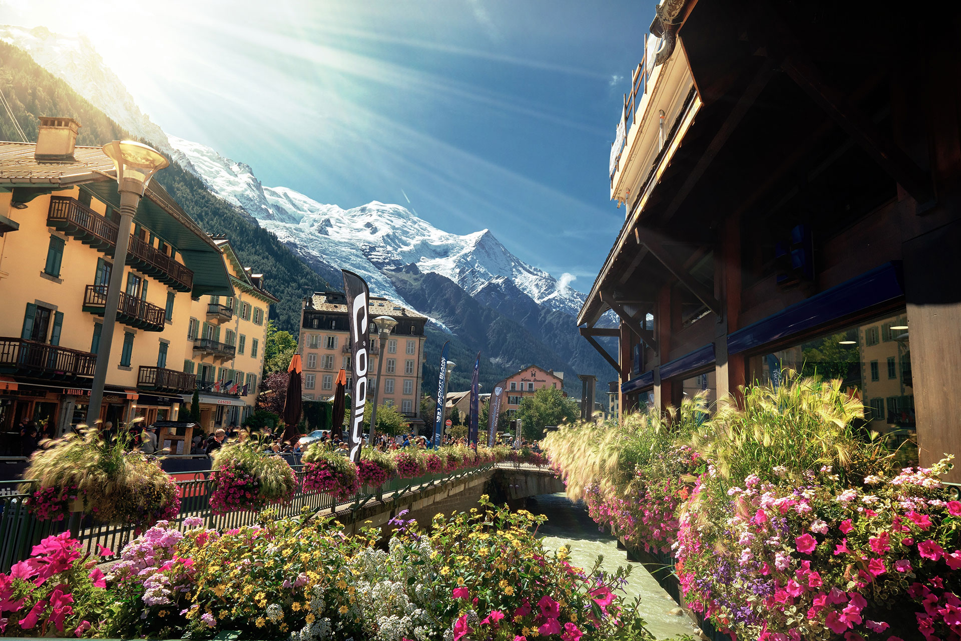 image showing chamonix in bloom